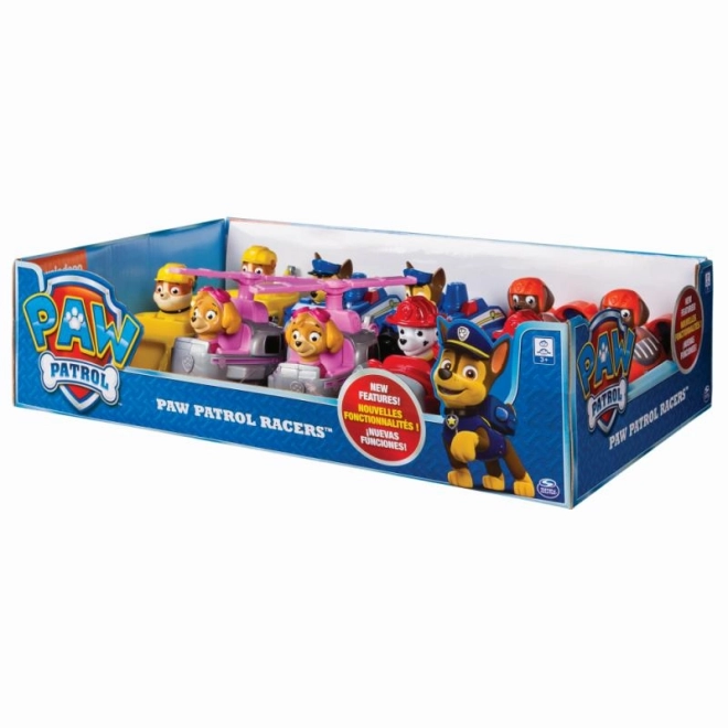 Paw Patrol klein voertuig met figuur, verschillende soorten