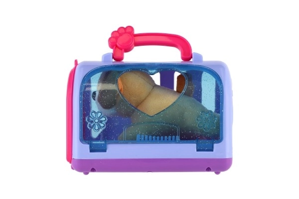 Transportbox met pluchen hondje