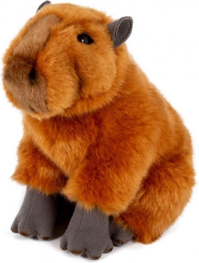 Zacht en knuffelig voor elke dag