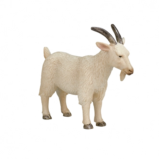 Mojo Bok