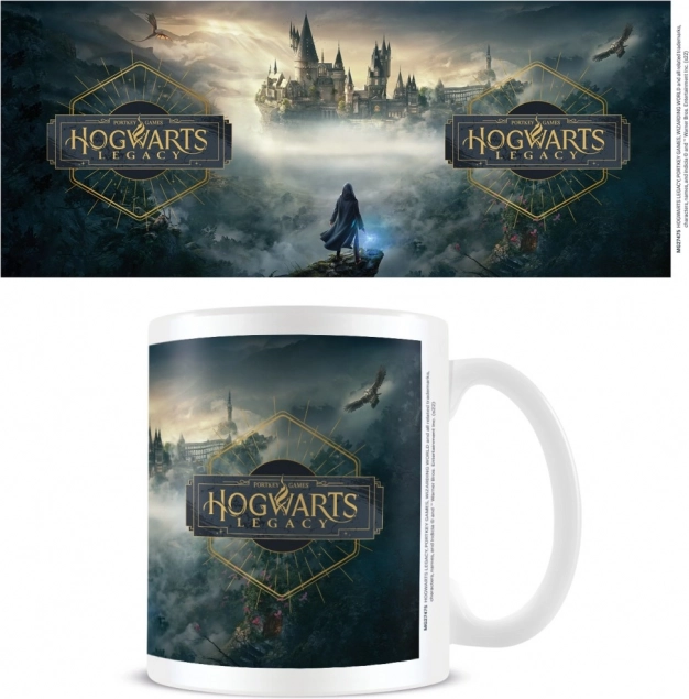 Mok Hogwarts Legacy