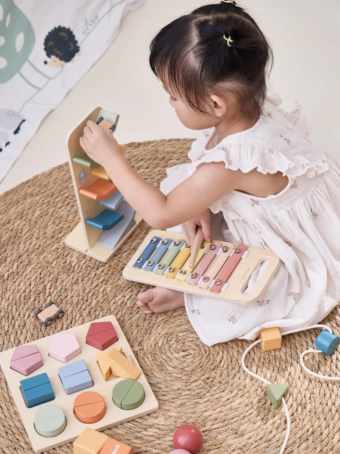 Houten activityset voor kinderen