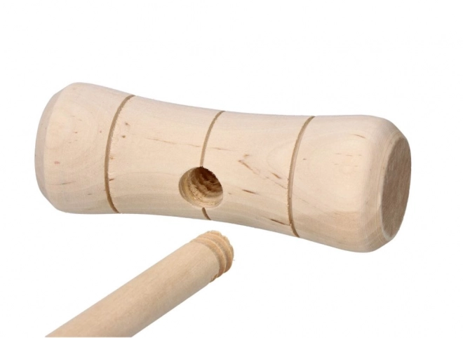 Houten speelset croquet 24 onderdelen - voor kinderen en volwassenen