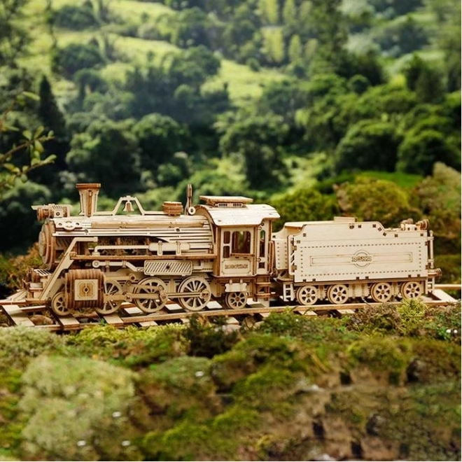 Locomotief - Stoom Express - 3D houten puzzel