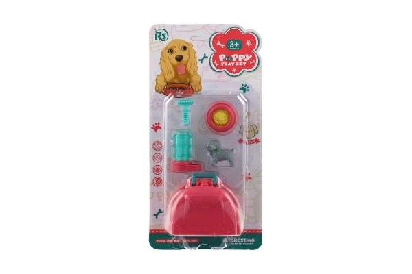 Mazlíček hond met draagbare doos en accessoires