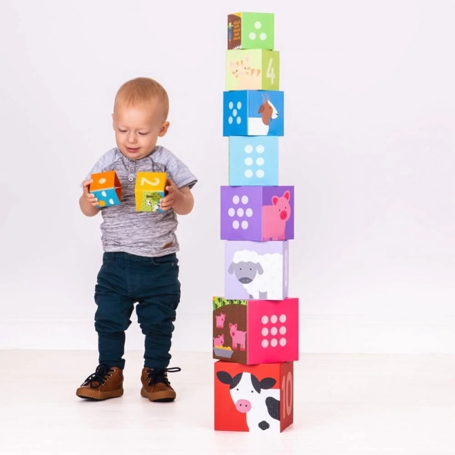 Bigjigs Toys Didactische Blokken Boerderij