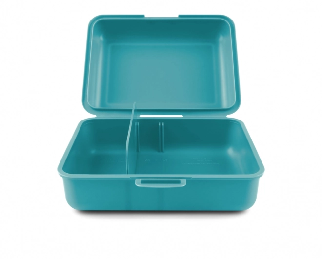 Lunchbox met tijger