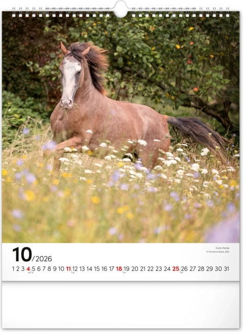 Wandkalender Paarden 2026