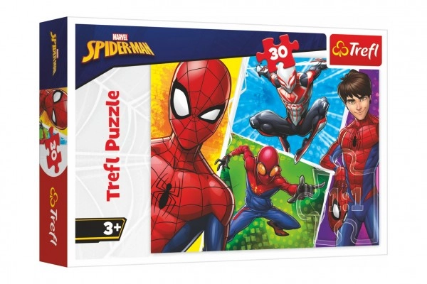 Kleurrijke illustraties van Spider-Man