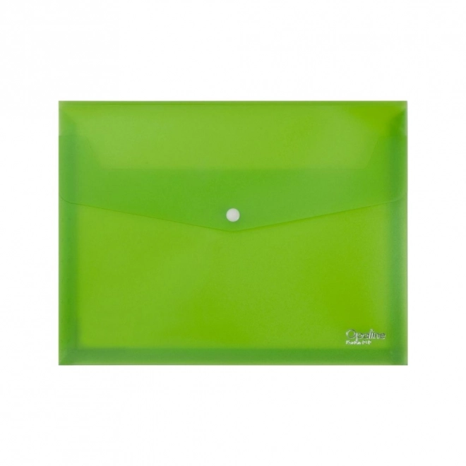 Ruimtelijke map met drukknop A4 Opaline groen
