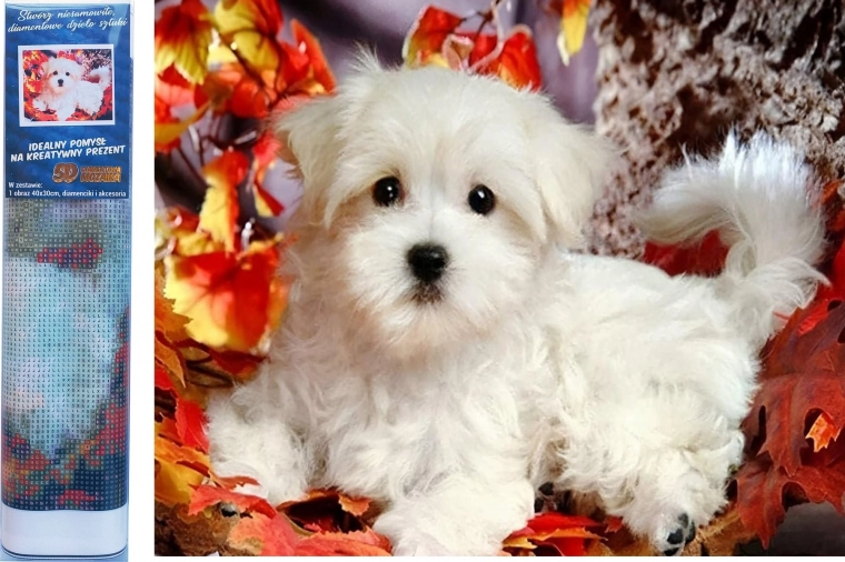 Diamantschilderen – wit puppy 30 × 40 cm