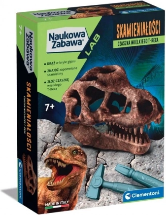 Wetenschappelijke set fossiel schedel T-rex