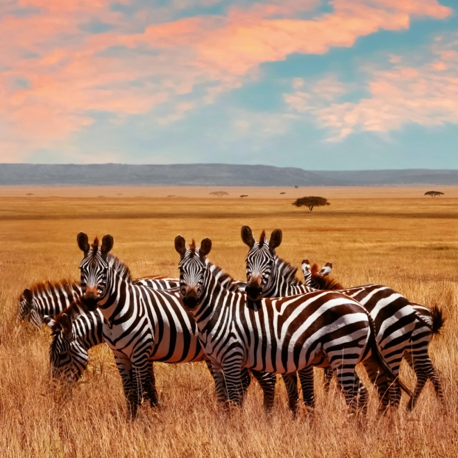 Notitiekalender Wilde Dieren 2026