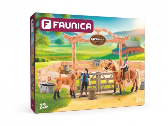 Rijschool met paard en ruiter