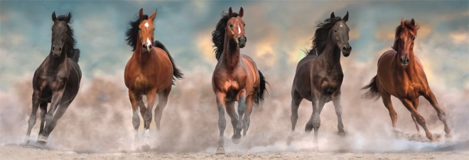 Puzzel 1000 Stukken Compact Panorama Paarden