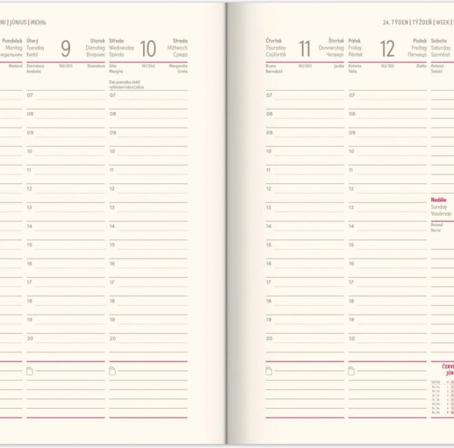 Notique Wekelijkse agenda zwart-goud 2026