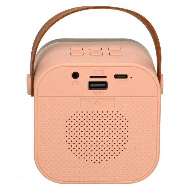 Karaoke set 2 microfoons + draagbare luidspreker BLUETOOTH USB LED roze