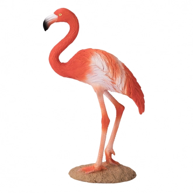 Mojo Amerikaanse Flamingo