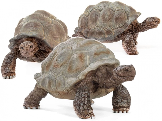 SCHLEICH Wild Life® 14824 reuzenschildpad