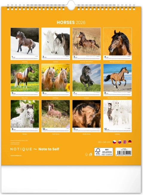 Wandkalender Paarden 2026