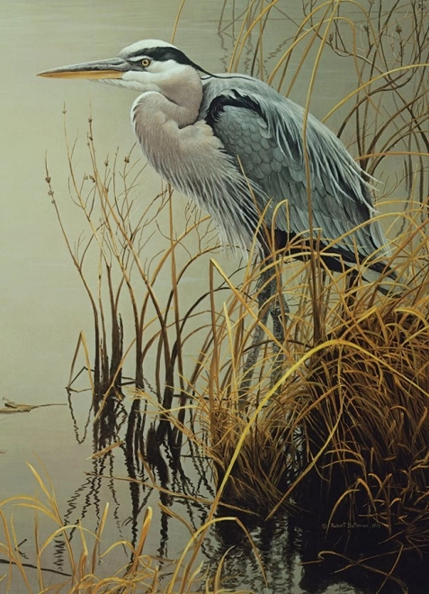 Puzzel Blauwe Reiger 500 stukken