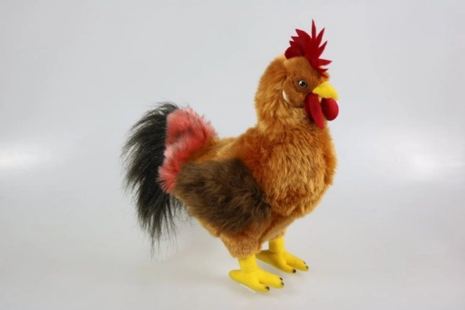 Pluchen haan