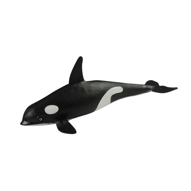 Set van zeedieren in een doos