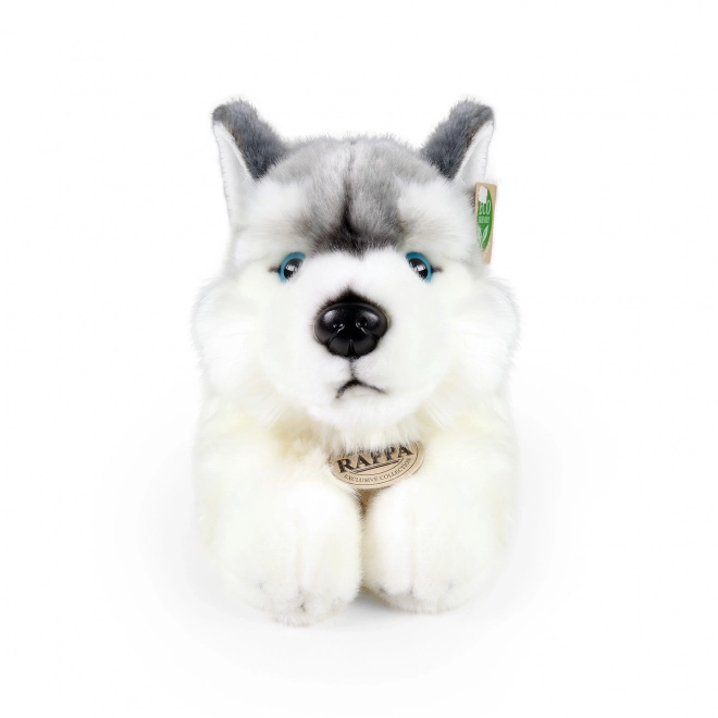 Rappa Pluchen hond husky liggend 30 cm