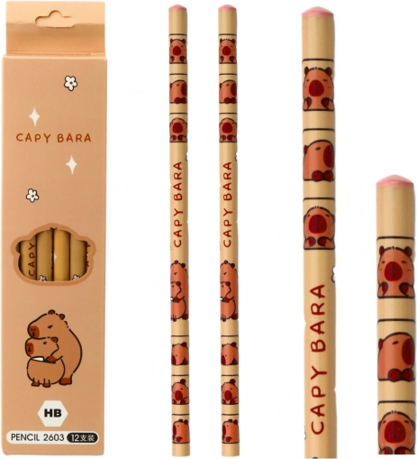 Set schetspotloden met capibara 12 stuks