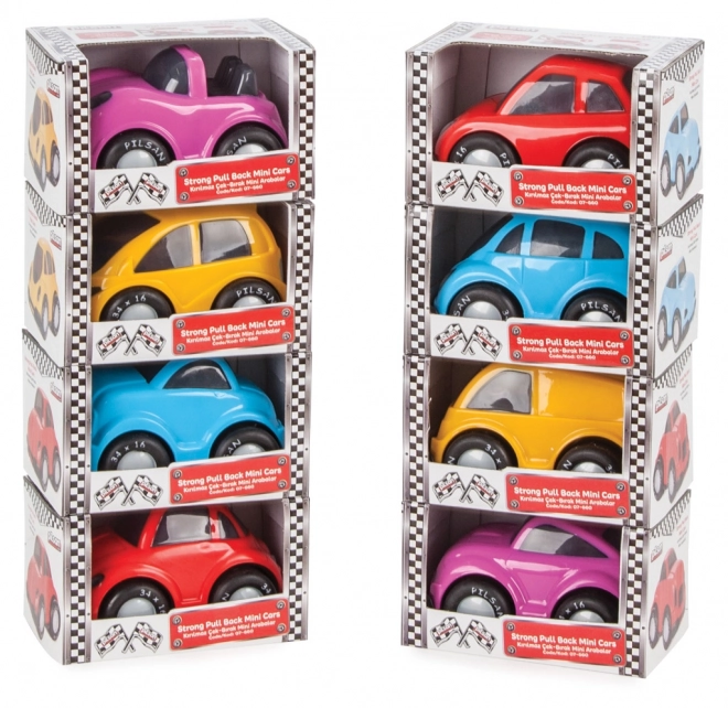 Kunststof auto voor de allerkleinsten trek-achteruit