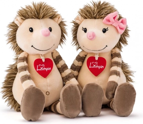 Schattig design met hartje
