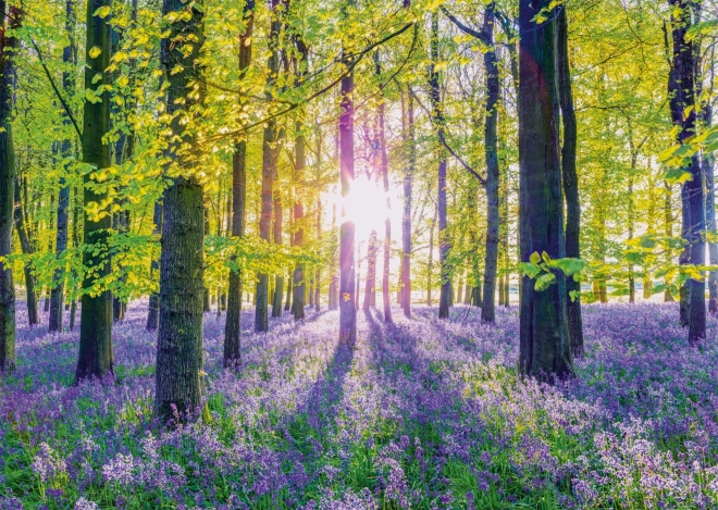 Puzzel Zachte Blauwe Klokjes in het Bos 1000 stukjes