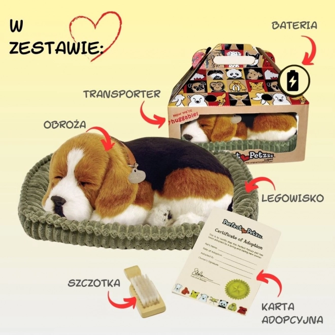 Ademend Puppy Beagle Perfect Petzzz