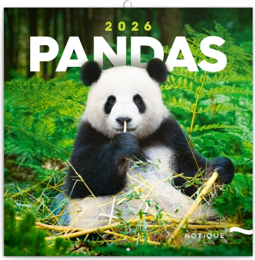 Notitie-kalender Panda’s 2026