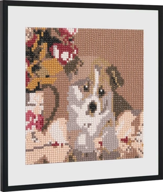 GRAFIX Diamantschilderij Schattige Puppy 20x20cm