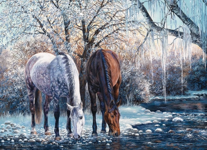Adembenemend winterlandschap