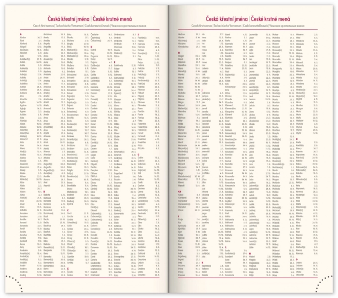 NOTIQUE Zakagenda Diario 2025, roze, 9 x 15,5 cm