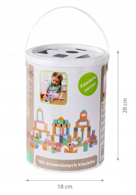 Houten blokken 100 st met emmer inclusief sorteerder Ecotoys