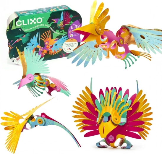 Magnetische speelset Clixo - Tropische vogels - 22 delen