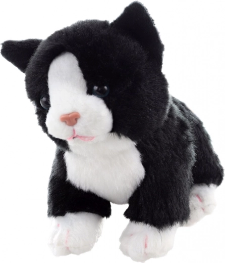 Staande houding voor spel en display