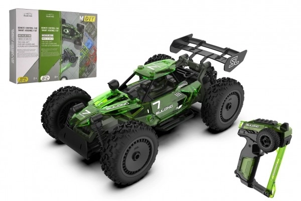 Auto RC buggy kunststof 22cm bouwset 24MHz op batterijen groen in doos 34x25x7cm