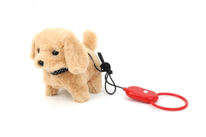 Hondje aan de lijn met geluiden