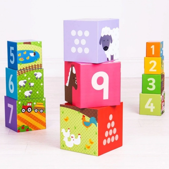 Bigjigs Toys Didactische Blokken Boerderij
