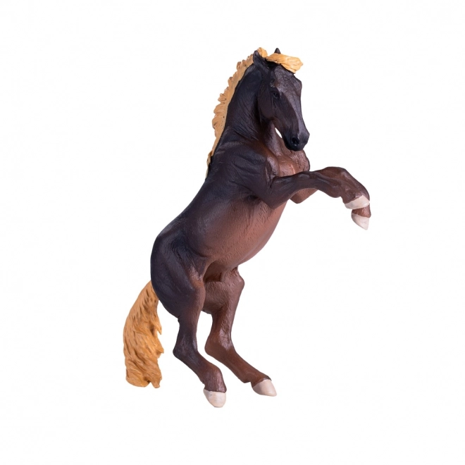 Mojo Hengst Brumby