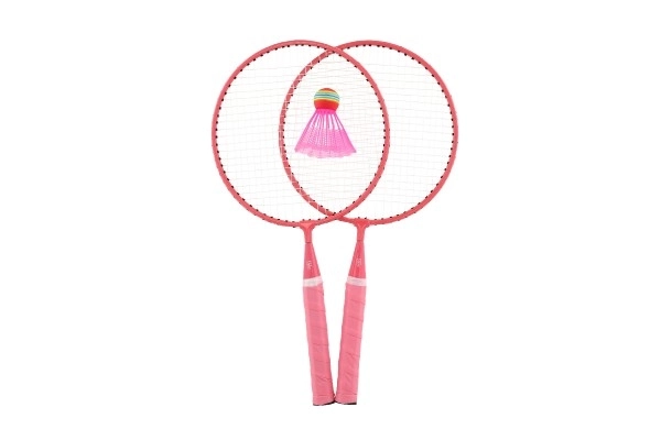 Badmintonset kind metaal/plastic 2 rackets + 3 shuttles 2 kleuren in net 23x45x6cm