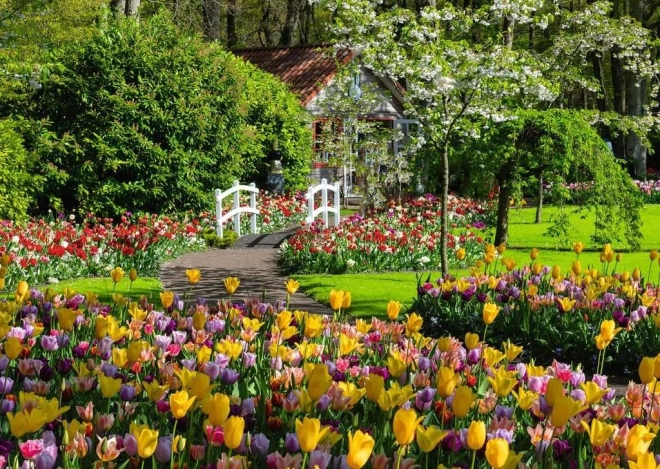 Puzzel 1000 stukjes RAVENSBURGER – Prachtige tuinen van Keukenhof, Nederland