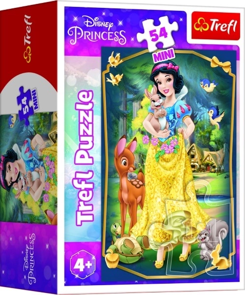 Minipuzzel Mooie Prinsessen/Disney Prinses 54 stukjes