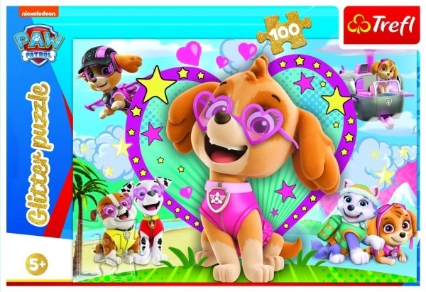 Puzzel glinsterende Paw Patrol