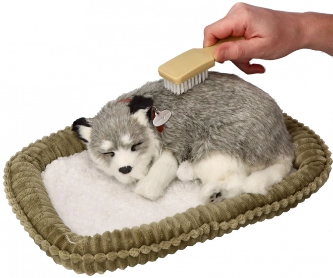 Adembenemende Alaska Husky knuffel