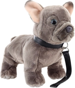 Pluchen Franse buldog met lijn 23 cm